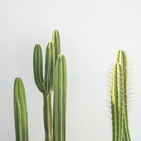 Casa Montelongo - Adults Only Hotel *