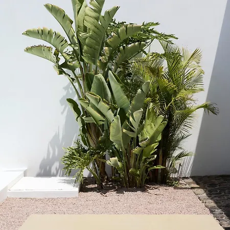 Casa Montelongo - Adults Only La Oliva