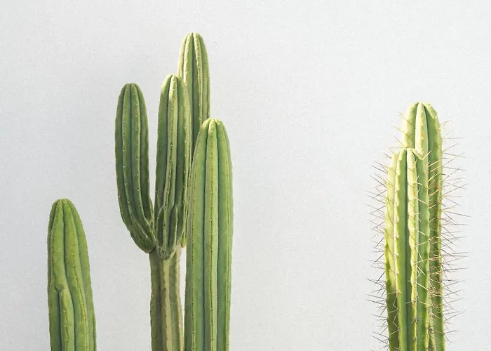 Casa Montelongo - Adults Only Hotel 4*